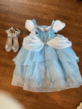 Princess Cinderella Dress Costume with Tiara and Shoes